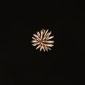 Meet your Posher, Isabel